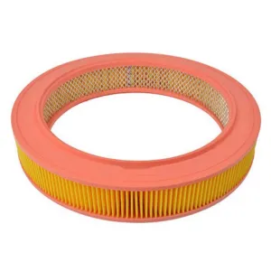 Air Filter 10720262  