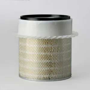 Air Filter 10700213  