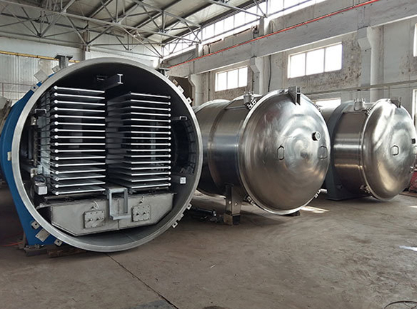 Fruit Freeze Dryer LG200 Price and Performance Guide