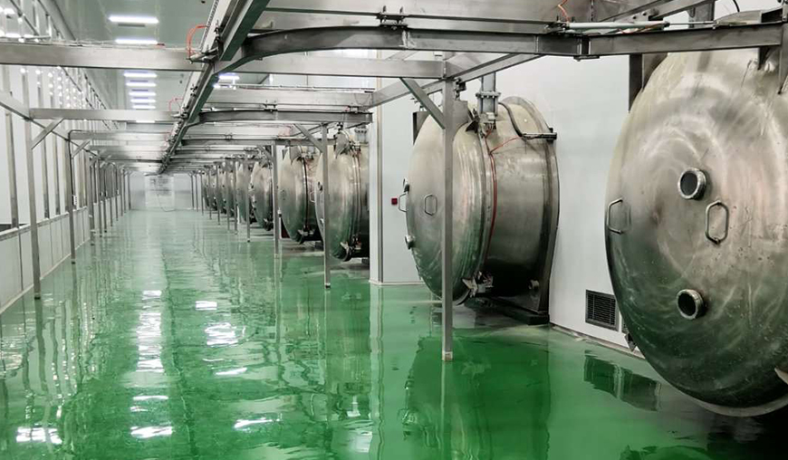 How Vacuum Freeze Drying Preserves Nutritional Value