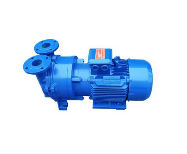 2BV, SKA water ring vacuum pump
