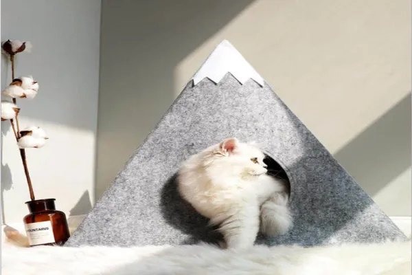 중국 생산 다양한 색상 기능 애완 동물 고양이 집 느낌