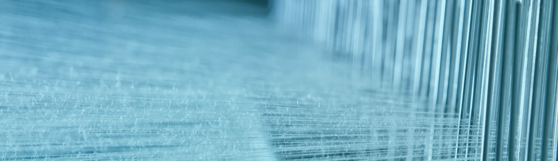 Use wisdom to create the future