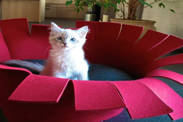Customized Pet Bed with Attractive Design for Storage Bags