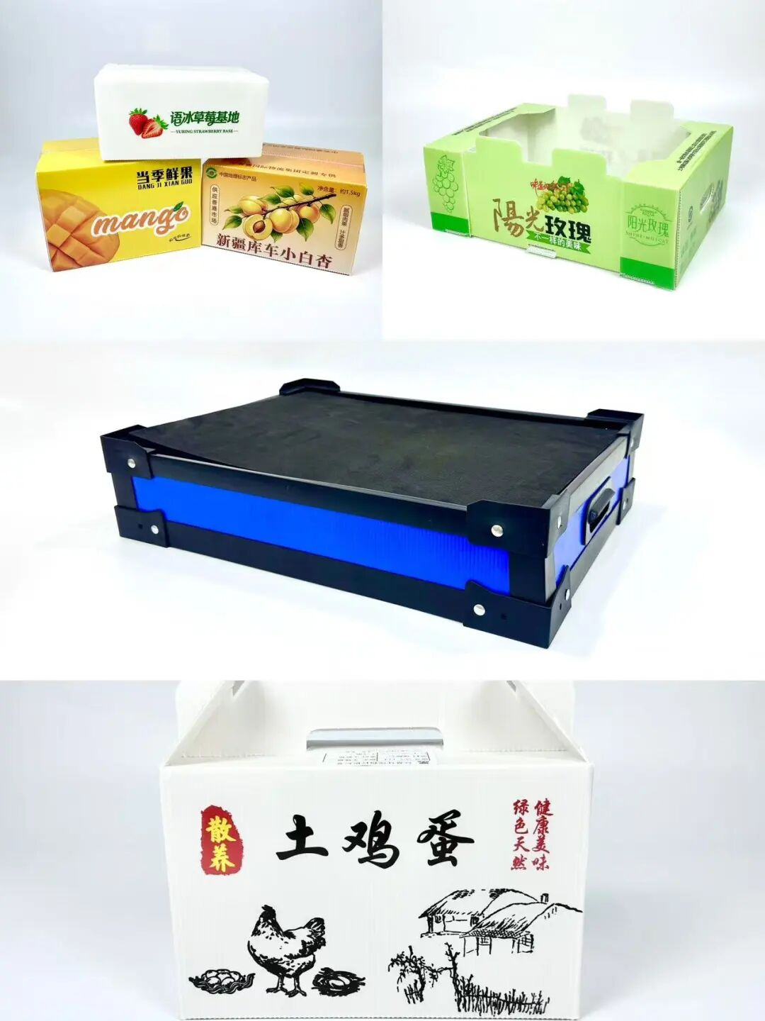 图片12.png 图片12.png