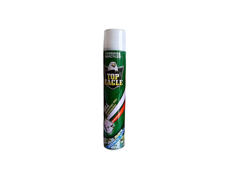  How to Handle and Dispose of an Aerosol Can in a Public Space