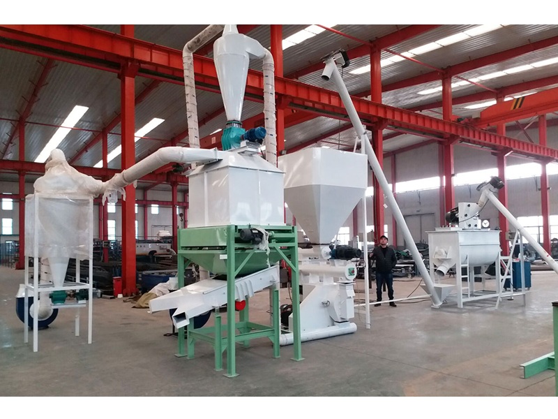 High-Quality Poultry Cages for Layer and Broiler Chickens