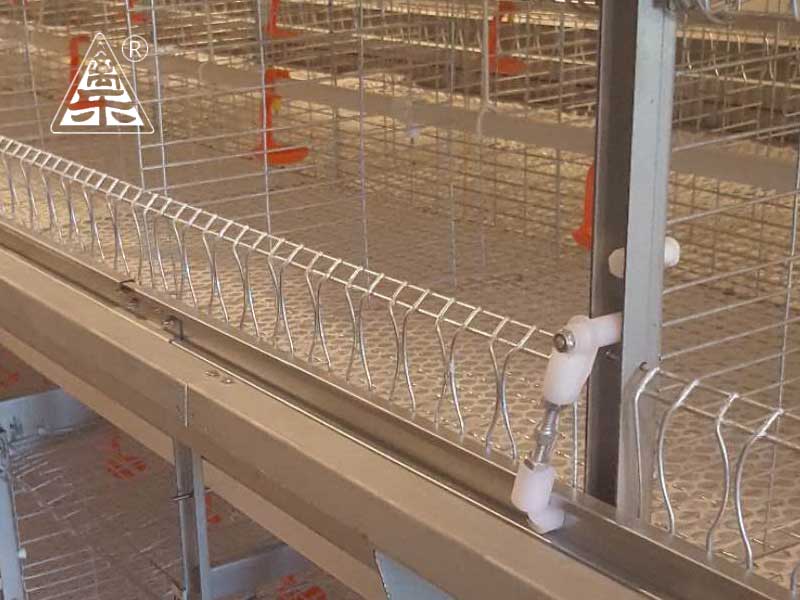 Optimal Layer Pullet Cages for Growing Chickens