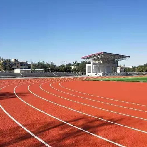 Fully plastic polyurethane track