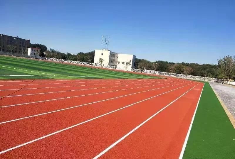 Hybrid polyurethane track Hybrid polyurethane track