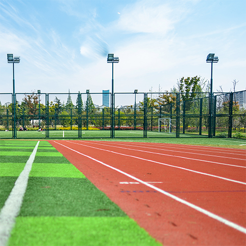 Multi-purpose sports field