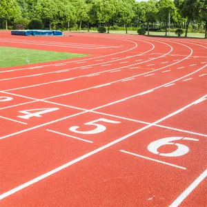 Многоцелевой спортивный дизайн