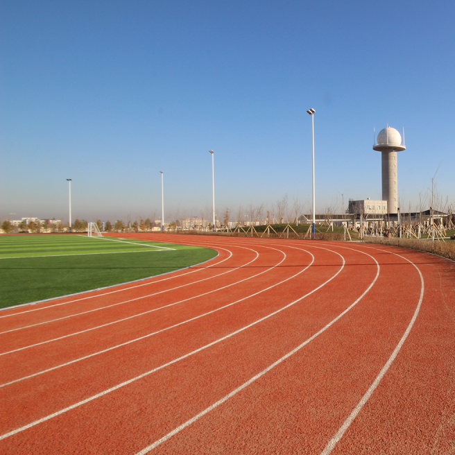 Fully Plastic Polyurethane Running Track Fully Plastic Polyurethane Running Track