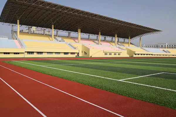 Таримский университет в восточном и западном районе