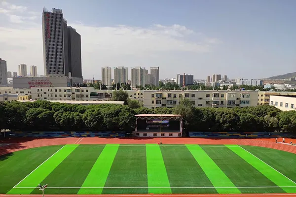 Синьцзянский институт строительного проекта