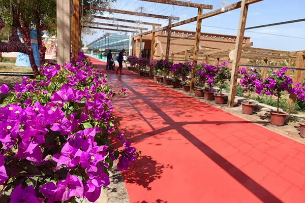 Турпан виноградная долина живописная площадь Парка Парка