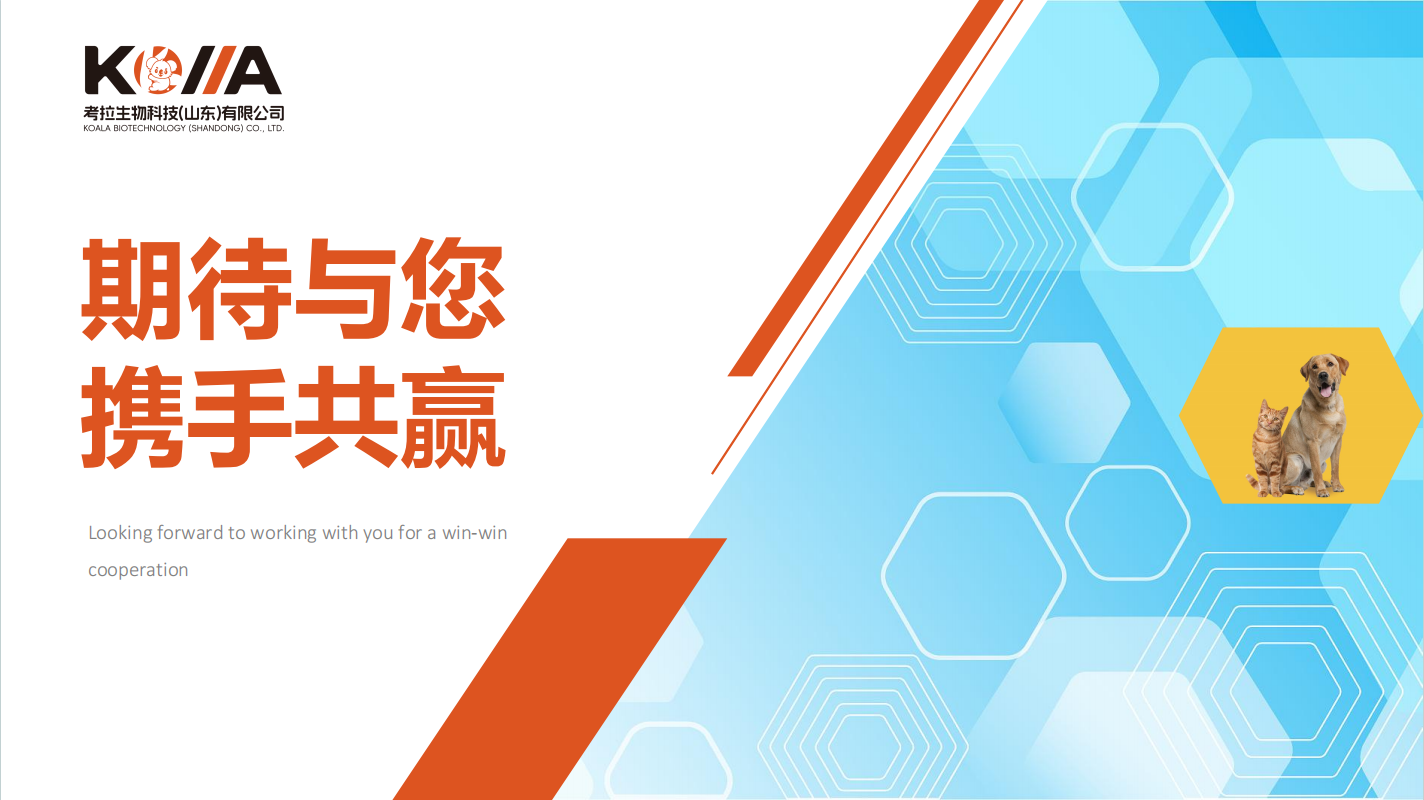 考拉 (4).png 考拉 (4).png
