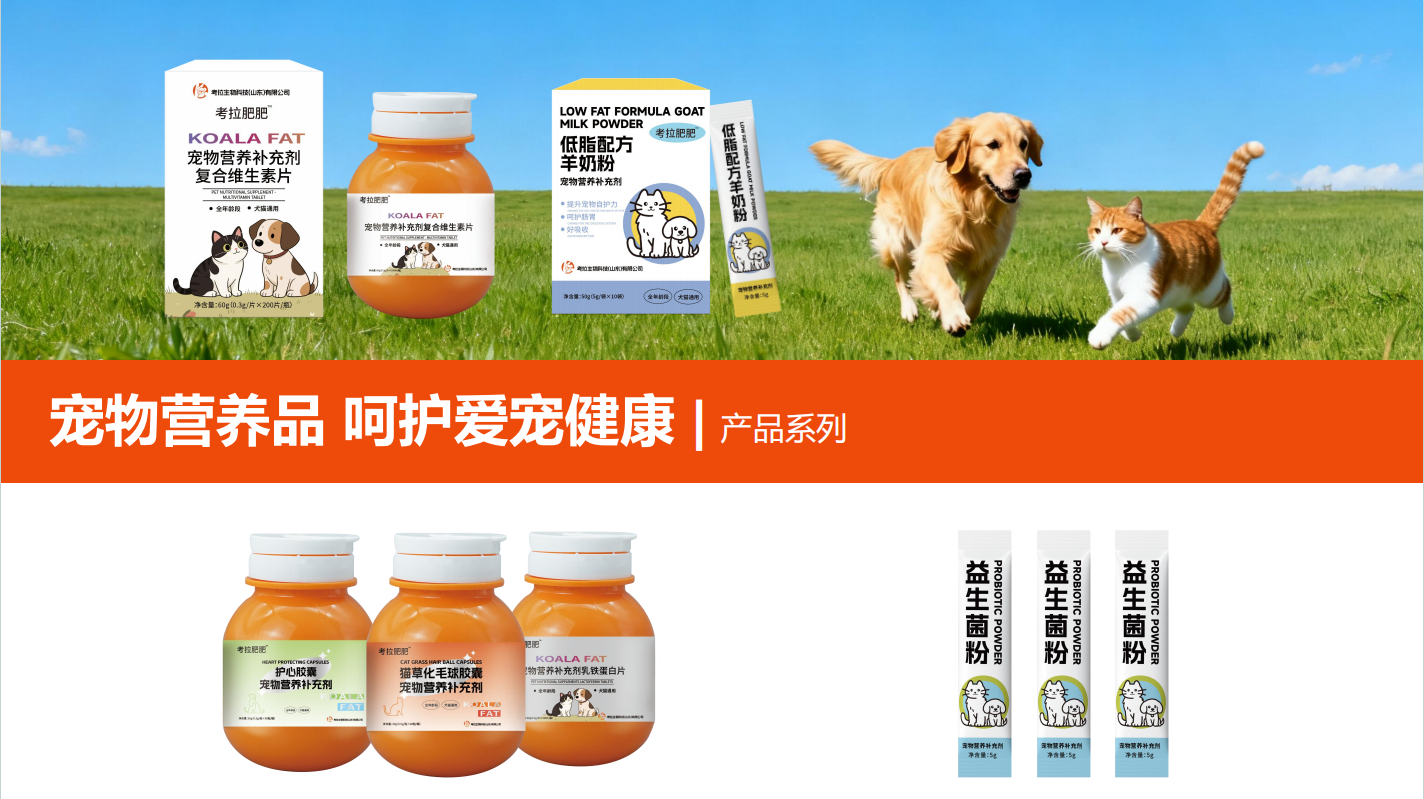 考拉 (1).png 考拉 (1).png