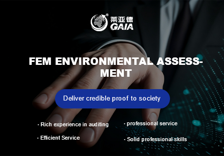 FEM environmental assessment.jpg FEM environmental assessment.jpg
