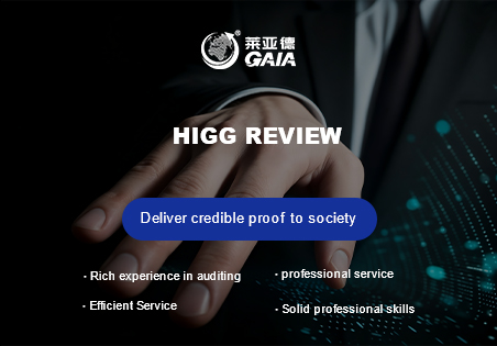 HIGG review.jpg HIGG review.jpg