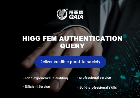 HIGG FEM authentication query.jpg HIGG FEM authentication query.jpg