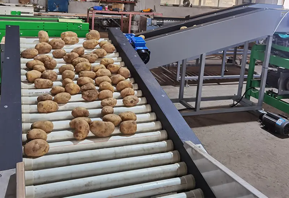 Fruit Processing Machine for Industrial Fruit Washing Systems