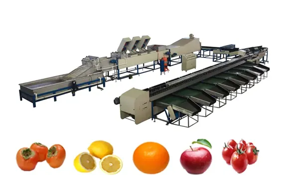 Machine &agrave; cirer et &agrave; trier les fruits