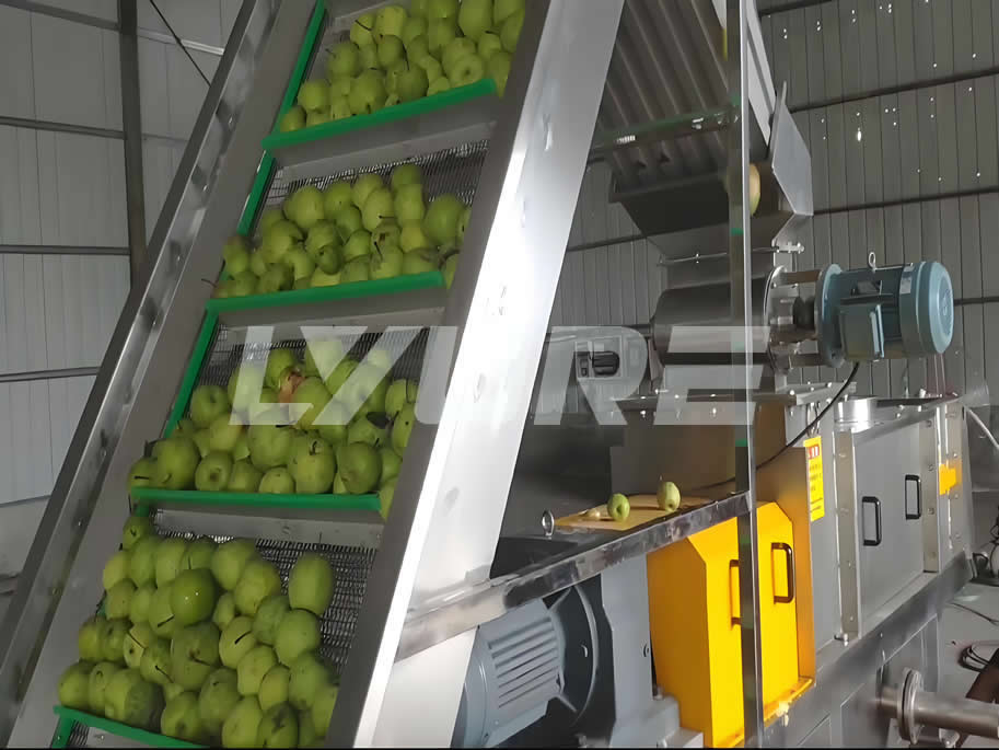 Screw-type Fruit and Vegetable Juicing Equipment Screw-type Fruit and Vegetable Juicing Equipment