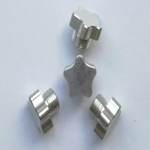 Polygonal screw / Plug