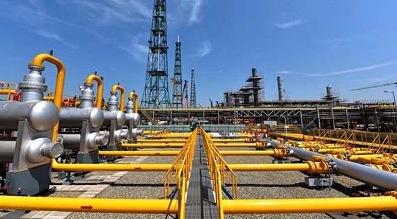 Overview of March Exhibition 