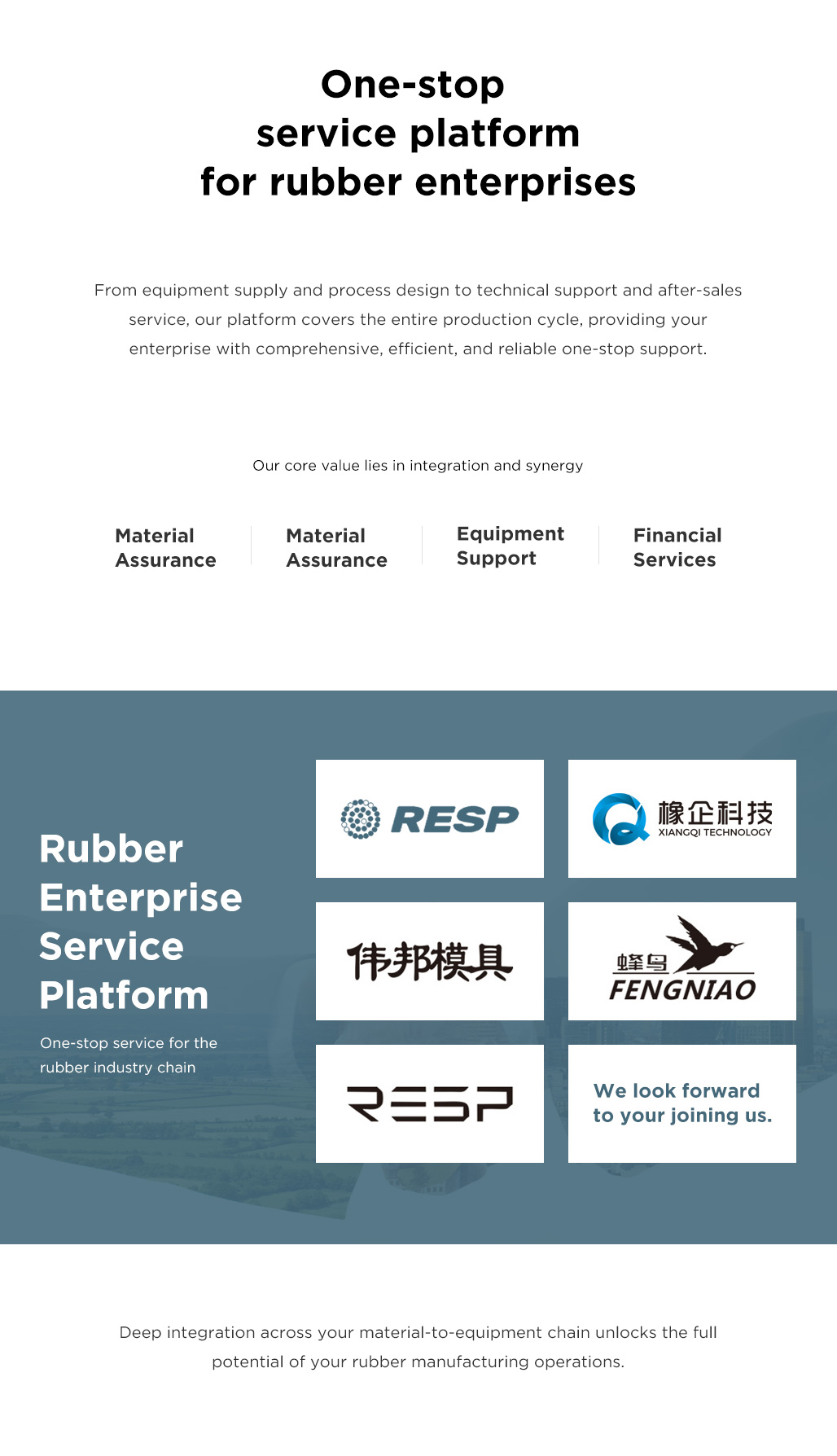 Plataforma de Servicios Empresariales de Caucho Plataforma de Servicios Empresariales de Caucho