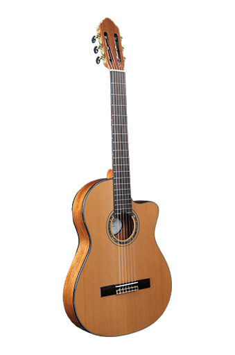 Guitar OEM Factory – Which Brands Trust Them for Bulk Orders?