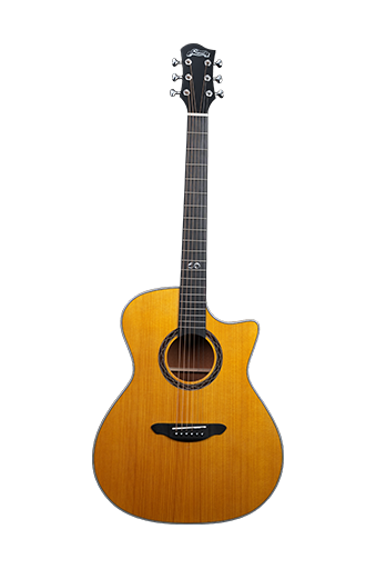 Why Is Longsheng Musical Instrument a Favorite Among Bands?