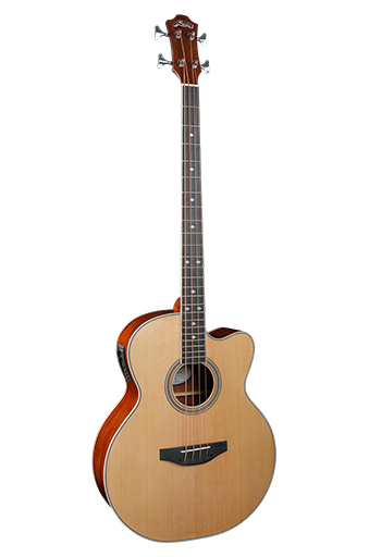 Acoustic Guitar Series: Why Are These Guitars So Popular?