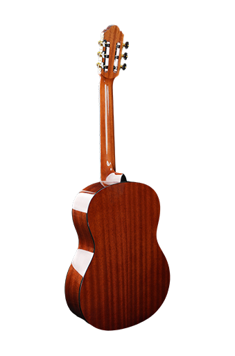 Longsheng Musical Instrument – What’s the Best Amp Pairing?