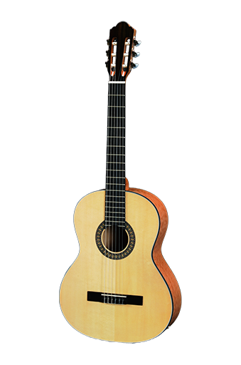 Why Are Some Guitar OEM Factories Specialized in Acoustic Guitars?