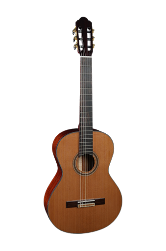 When Should You Replace Your Longsheng Musical Instrument?