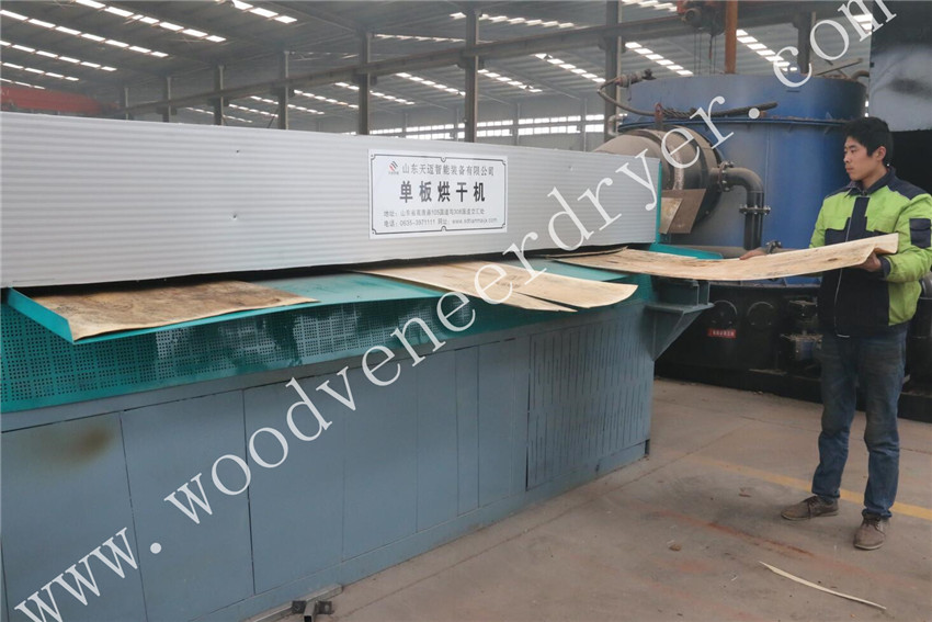 veneer dryer 