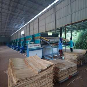 Secadora de las virutas de madera del árbol de goma de Tailandia