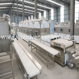 Microwave Dryer Machine for India 