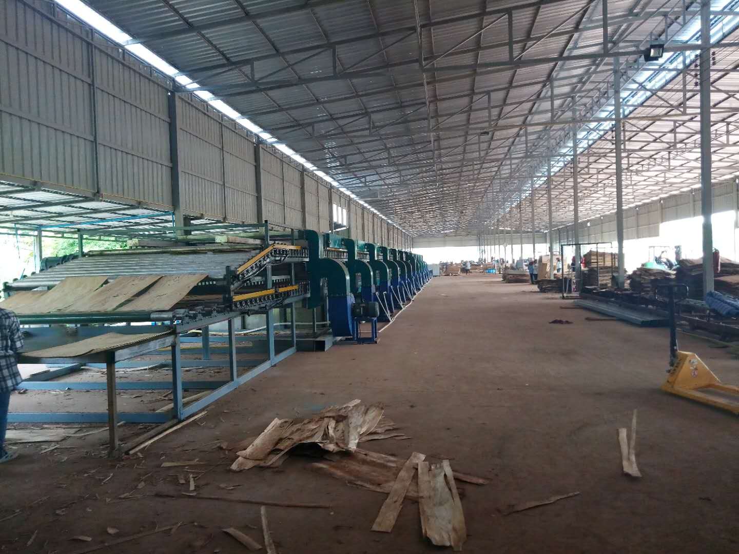 Acacia-Furnier-Blatt-Trockenmaschine für Vietnam