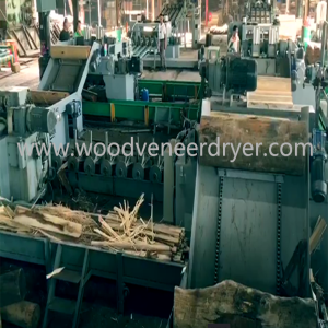 Fully Automatic  6 Feet  Veneer Production Line in Indonesia 
