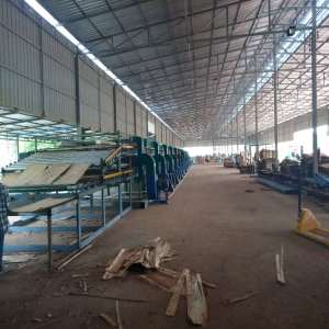 Peeling Veneer Roller Drying Equipment for Vietnam 