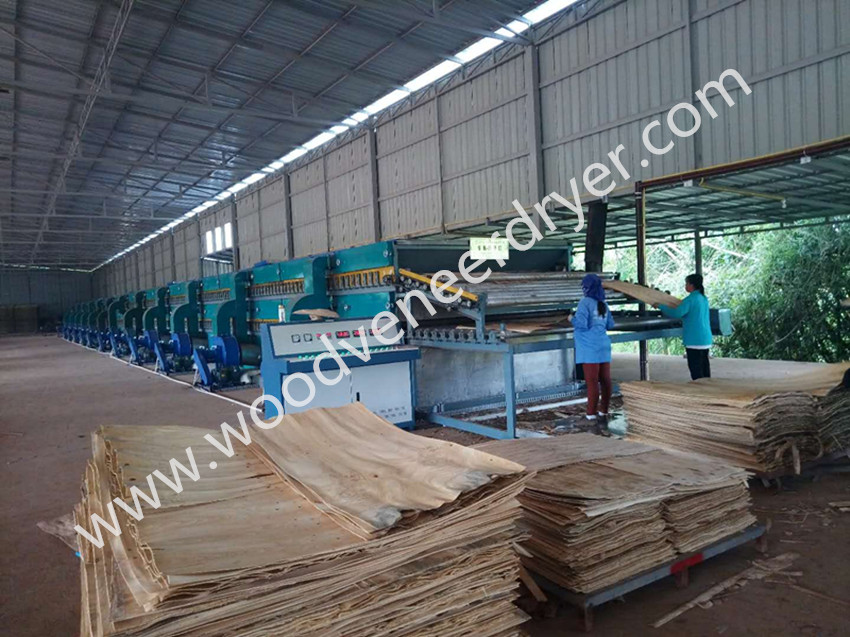 Thailand roller veneer dryer .jpg