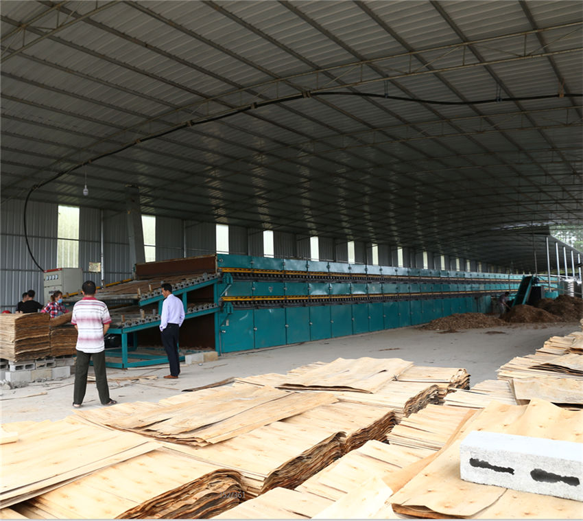 Wood Drying Machine for Plywood Veneer Indonesia 