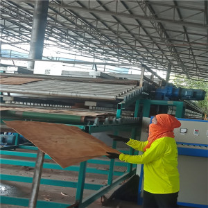Core Veneer Drying Machine Indonesia 