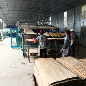 Plywood Dryer Machine for Thailand