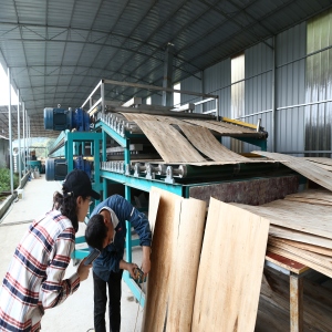 60m 2 Deck Face Roller Veneer Plywood Board Dryer 