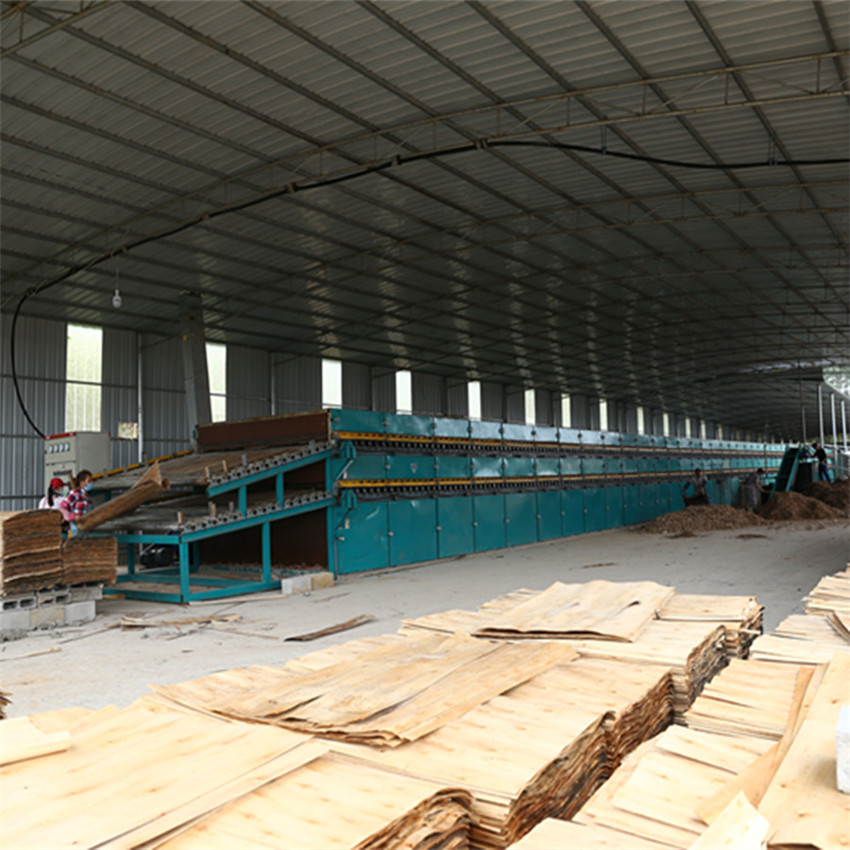 Wood Processing Machine for Roller Veneer Drying Technology