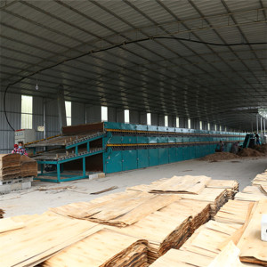 Shine Roller Veneer Dryer Machine for Plywood Productiong